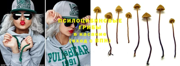 экстази Осташков
