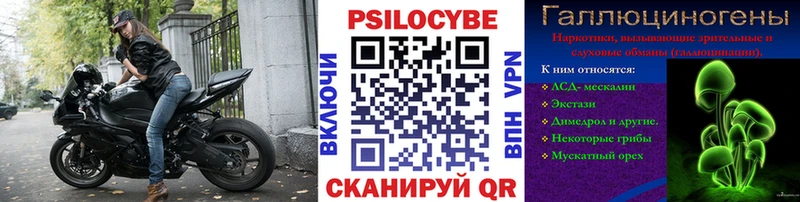 наркошоп  Шлиссельбург  Галлюциногенные грибы мицелий 